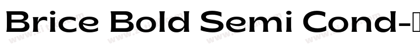 Brice Bold Semi Cond字体转换